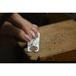 Workshop-Spezial: Pfotenabdruck aus Silber