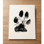 Workshop-Spezial: Pfotenabdruck aus Silber